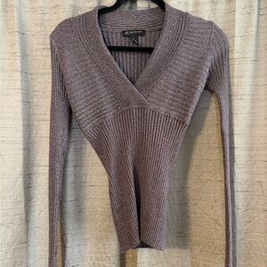 INC International Concepts Purple V-Neck Sweater